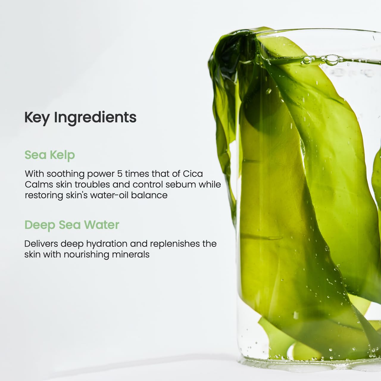 Biodance Korean Collagen Mask